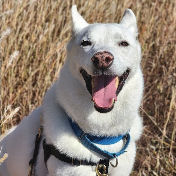 Meet your Posher, Danielle - Picture 10 of 10